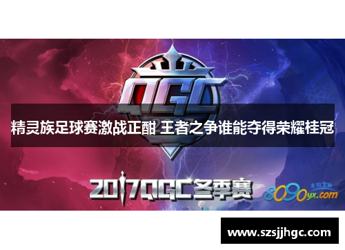 精灵族足球赛激战正酣 王者之争谁能夺得荣耀桂冠